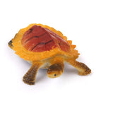 Maxbell 20-piece Plastic Animal Turtle Models Kids Educational Toy Party Bag Fillers