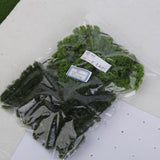 Maxbell 6xPagoda Trees Model Train Railroad Scenery 1:200 20pcs Dark and Light Green