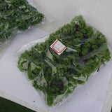 Maxbell 13x20x Model Trees Scenery 1:100 HO Scale Tree Landscape Layout Light Green