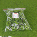 Maxbell 3xPlastic Model Trees Train Railroad Scenery 1:250 40pcs Light Green
