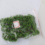 Maxbell 6x20Pcs Plastic Model Tress Train Railroad Scenery 1:150 Scale Light Green Kit