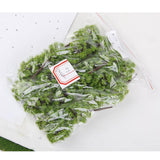 Maxbell 9x20Pcs Plastic Model Tress Train Railroad Scenery 1:150 Light Green Props Kit