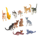 Maxbell 8xPlastic Small Cat Figures Simulation Moulds Kids Toy Colorful 12PCS