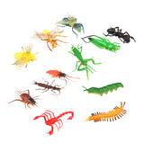 Maxbell Maxbell Plastic Artificial Insect Model Toy 12pcs Colorful