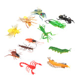 Maxbell Maxbell Plastic Artificial Insect Model Toy 12pcs Colorful