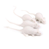 Maxbell 24pcs Plastic Animals Kitten Cats & Rats Mouse Model Figure Kids Party Favor Toy