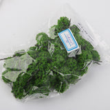 Maxbell 4x50pcs Model Train Trees Scenery Landscape Light Green 1:300