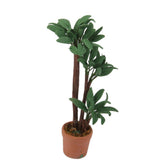 Maxbell Dollhouse Miniature Potted Green Leafed Plant Garden Decor