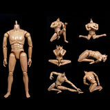 Maxbell 12" 1/6 Army Combat Desert ACU Soldier Action Figure Model Toys C