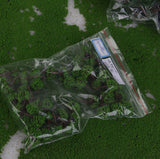 Maxbell 6x50pcs 3cm Scenery Landscape Train Model Trees Light Green Scale 1/500