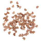 Maxbell 6x100pcs Nature Wood Wooden Hearts Scrapbooking Embellishments Crafts 12x2mm