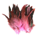Maxbell 4x50pcs Beautiful Rooster Feathers Fringe Decoration Home Craft DIY Pink