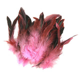 Maxbell 4x50pcs Beautiful Rooster Feathers Fringe Decoration Home Craft DIY Pink