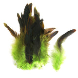 Maxbell 6x50pcs Beautiful Rooster Feathers Fringe Decoration Home Craft DIY Green