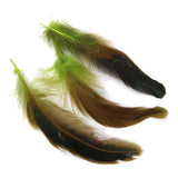 Maxbell 6x50pcs Beautiful Rooster Feathers Fringe Decoration Home Craft DIY Green