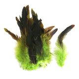 Maxbell 6x50pcs Beautiful Rooster Feathers Fringe Decoration Home Craft DIY Green
