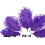 Maxbell Maxbell 10pcs Ostrich Feather Crafts for Costume Hats Cards DIY Decor-Purple