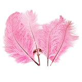 Maxbell 10pcs Ostrich Feather Crafts for Costume Hats Cards DIY Decor-Pink