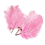 Maxbell 10pcs Ostrich Feather Crafts for Costume Hats Cards DIY Decor-Pink