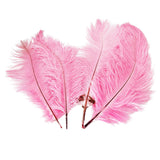 Maxbell 10pcs Ostrich Feather Crafts for Costume Hats Cards DIY Decor-Pink