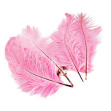 Maxbell 10pcs Ostrich Feather Crafts for Costume Hats Cards DIY Decor-Pink