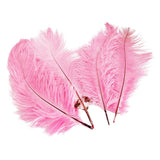 Maxbell 10pcs Ostrich Feather Crafts for Costume Hats Cards DIY Decor-Pink