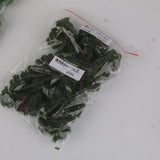Maxbell 3x25 Pcs Scenery Landscape Train Model Trees Scale 1/300 Dark Green