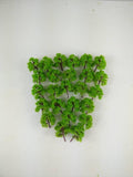 Maxbell 2x25 Pcs Scenery Landscape Train Model Trees Scale 1/300 Light Green