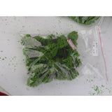 Maxbell 3x25Pcs Model Cypress Tress Train Railroad Scenery 1:150 Light Green