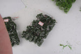 Maxbell 2x20Pcs Model Abies Holophylla Tress Train Railroad Scenery 1:150 Dark Green