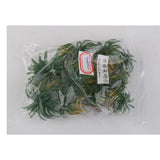 Maxbell 10x12pcs Layout Model Train Coconut Palm Trees Rain Forest Scale 1:100-1:250