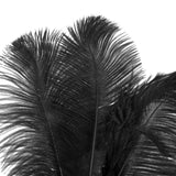 Maxbell Black Crystal Sequins Ostrich Feather Headpiece Vintage Headband Flapper - Aladdin Shoppers