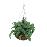 Maxbell 1/12 Dollhouse Miniature Hanging Plant Garden Accessory