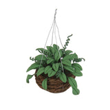 Maxbell 1/12 Dollhouse Miniature Hanging Plant Garden Accessory