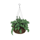Maxbell 1/12 Dollhouse Miniature Hanging Plant Garden Accessory