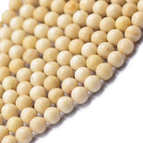 Maxbell 3x8mm Beige Cream Coral Round Loose Beads Strand 15.5 Inch