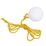 Maxbell 2x Golf Practice Ball with Rope & Stick Hit Swing Range Training Aid Golfer