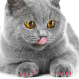 Maxbell 2x20Pcs Nail Caps Grooming for Pet Dog Cat Paw Claws M Black