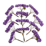 Maxbell 144pcs Mini Paper Rose Flowers for Craft Wedding Favor Home Decor Purple