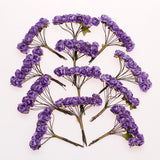 Maxbell 144pcs Mini Paper Rose Flowers for Craft Wedding Favor Home Decor Purple