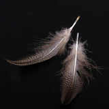 Maxbell 20pcs Natural Pheasant Feathers for Craft Mask Hat