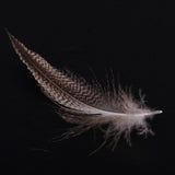 Maxbell 20pcs Natural Pheasant Feathers for Craft Mask Hat