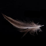 Maxbell 20pcs Natural Pheasant Feathers for Craft Mask Hat