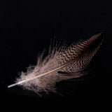 Maxbell 20pcs Natural Pheasant Feathers for Craft Mask Hat