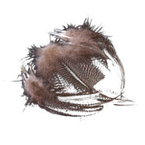Maxbell 20pcs Natural Pheasant Feathers for Craft Mask Hat