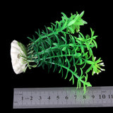 Maxbell 18cm Plastic Aquarium Plants Ornament for Fish Tank - Fuschia+3Pcs Plastic Aquarium Plants Ornament for Fish Tank+3 PCS Simulation Aquatic Plastic Plants Aquarium Ornament Decorations -Purple