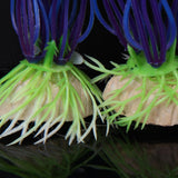 Maxbell 18cm Plastic Aquarium Plants Ornament for Fish Tank - Fuschia+3Pcs Plastic Aquarium Plants Ornament for Fish Tank+3 PCS Simulation Aquatic Plastic Plants Aquarium Ornament Decorations -Purple