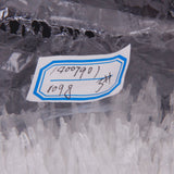 Maxbell 1100 x 5'' Plastic Tag line Tie & 8'' Label sling bullet tag string