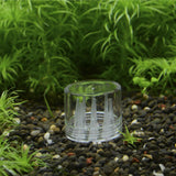 Maxbell 8 Holes Aquarium Catcher Trap Trapper for Planaria Worm Leech + Shrimp Fish Dish