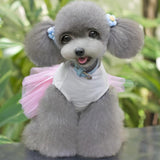 Maxbell Maxbell Cute Puppy Pet Dog Dress Lace Skirt Princess Dress Small Medium Dog Pink S